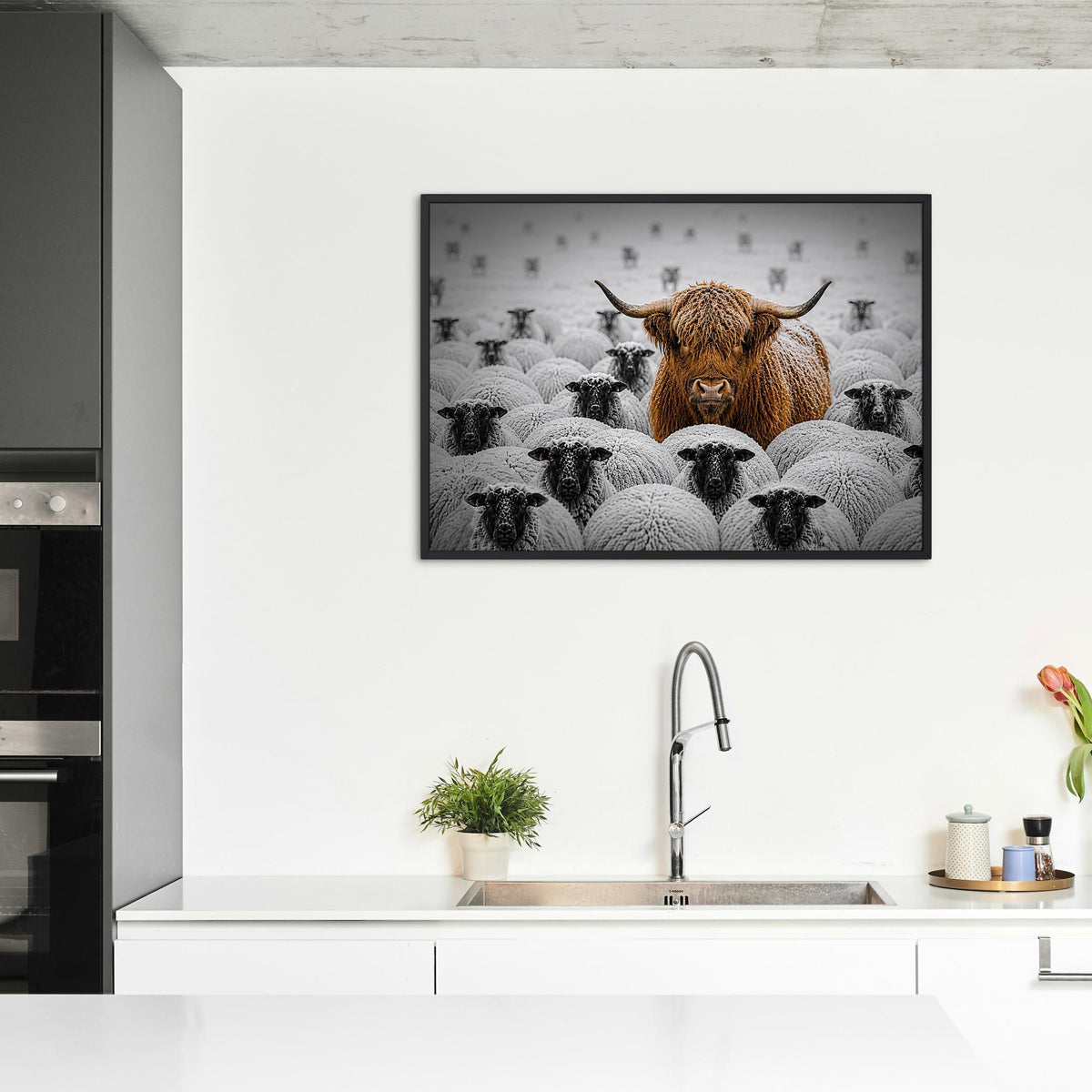 Highland Cow Among Sheep Print featuring black and white art, perfect highland cow poster for home decor
