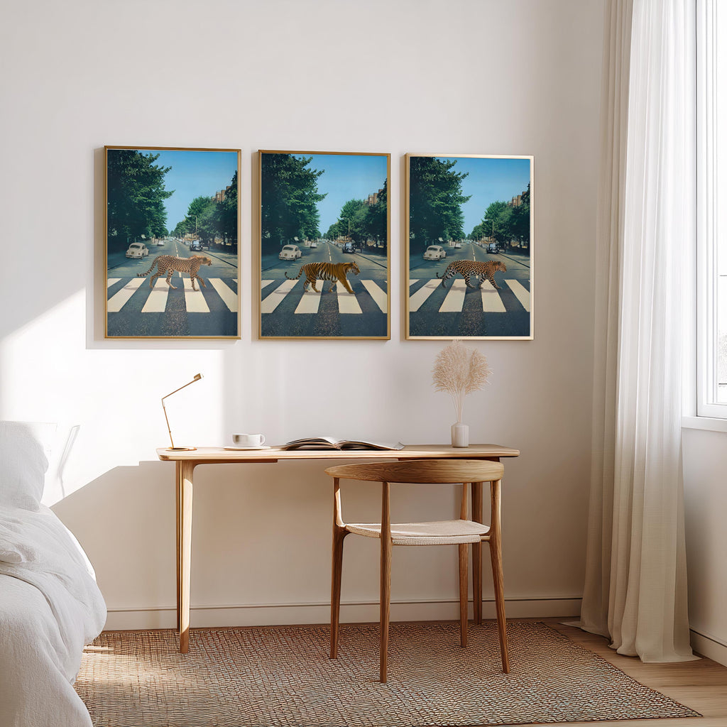 Jungle Cats Set of 3 Prints styled on a wall, blending 3 poster set and set of 3 posters inspiration