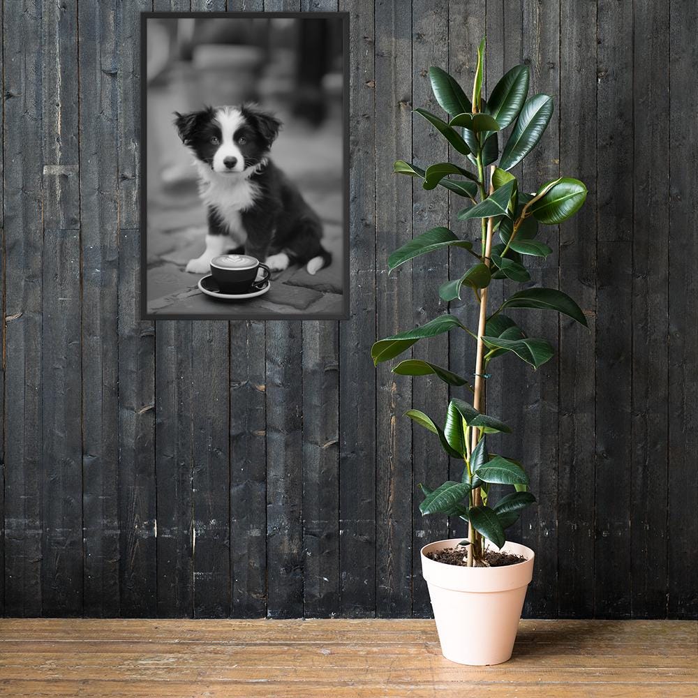 Border Collie Black & White Print mockup highlighting black white poster and minimalist dog art style