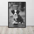 Border Collie Black & White Print displayed in a modern room, ideal black white prints accent for monochrome puppy art