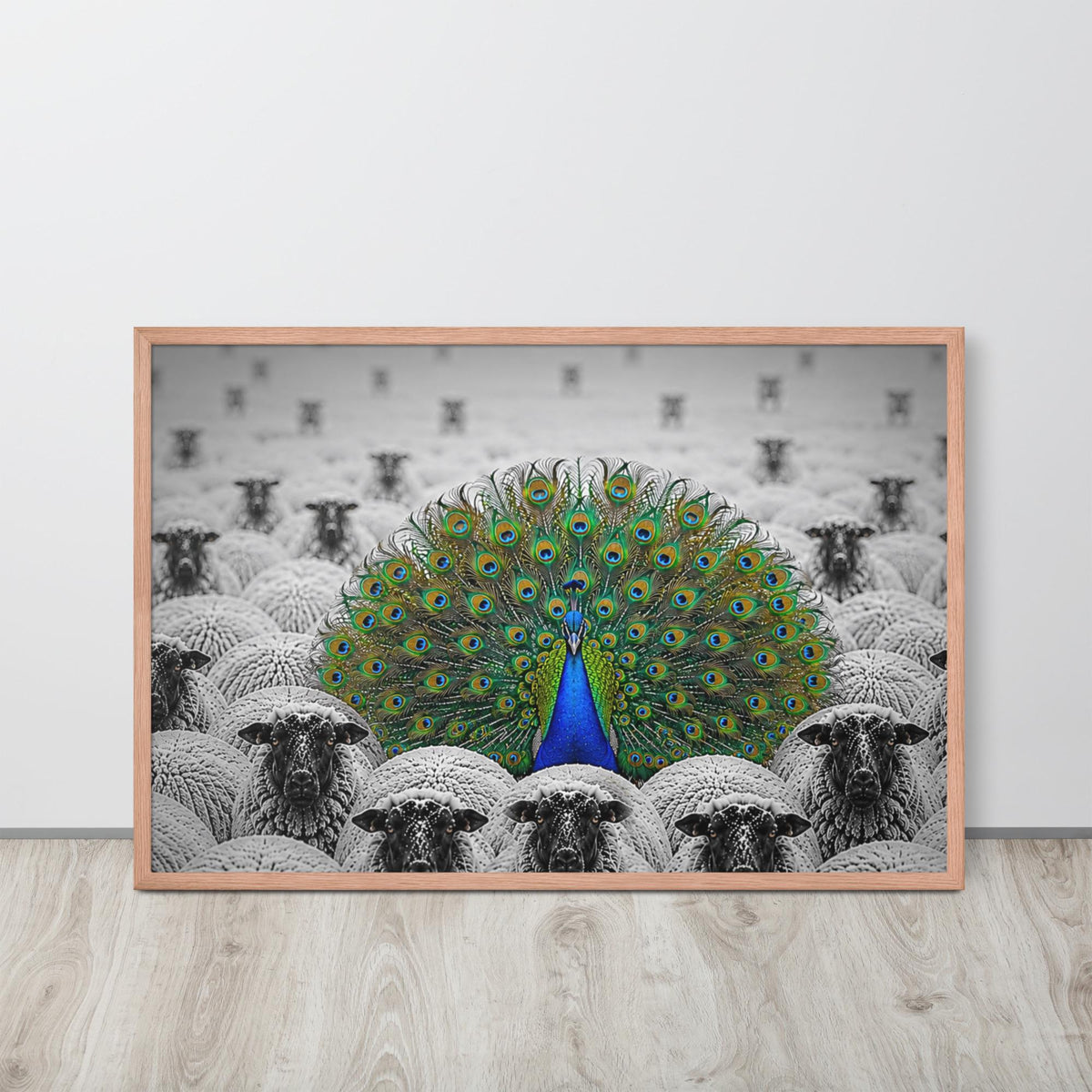 Peacock Among Sheep wall art Print displayed in a modern room, ideal monochrome wall art accent for peacock print