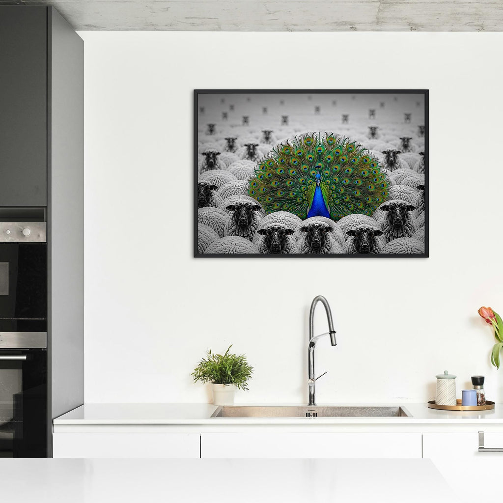 Peacock Among Sheep Print featuring black and white art, perfect nature photography for home decor