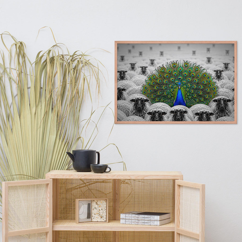 Peacock Among Sheep Print showcasing fine art photography, a great pick for peacock picture lovers